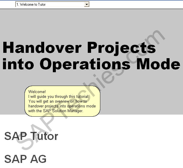 Sap Training And Event Management User Manual